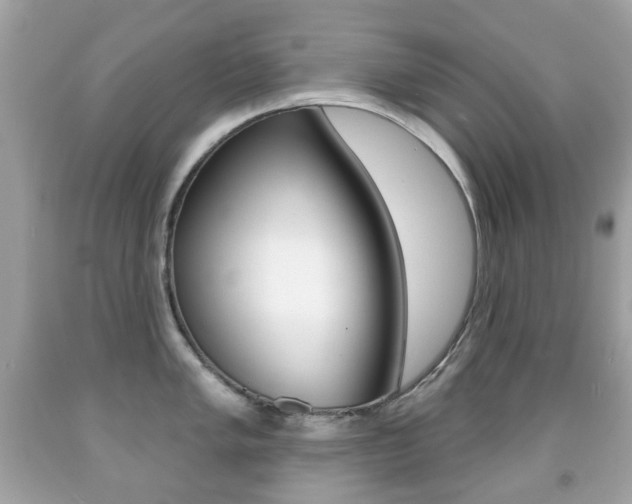 X0000091851005200709050931