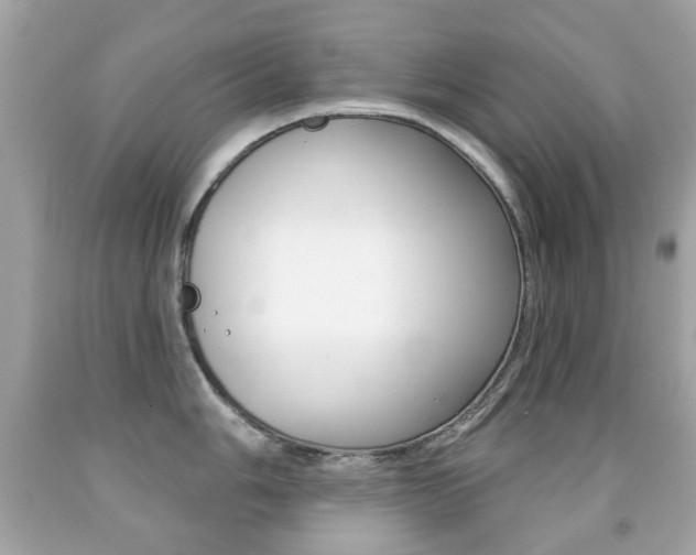 X0000091851006200709050931