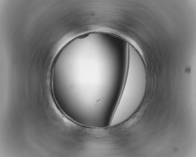 X0000091851007200709050931