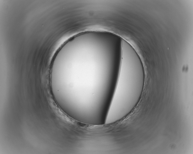 X0000091851008200709050931