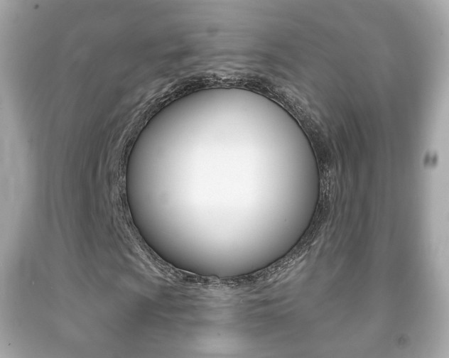 X0000091851009200709050931