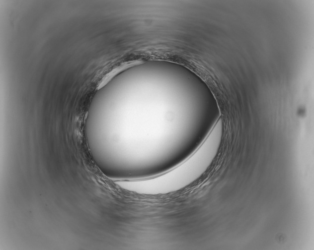 X0000091851010200709050931