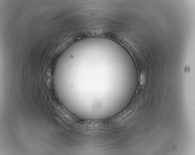 X0000091851011200709050931