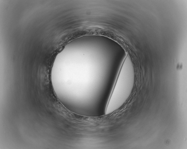 X0000091851013200709050931