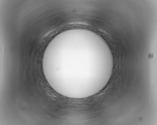 X0000091851014200709050931