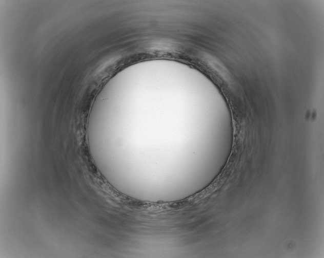 X0000091851015200709050931