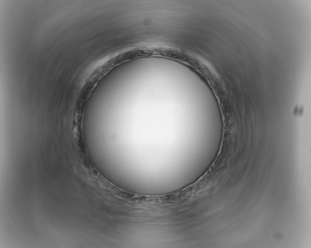 X0000091851016200709050931