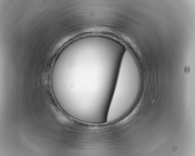 X0000091851017200709050931