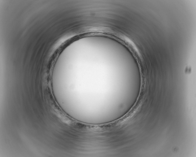 X0000091851019200709050931