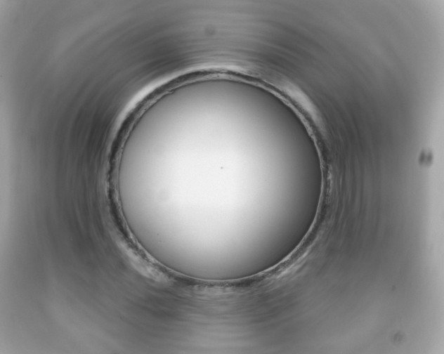 X0000091851020200709050931