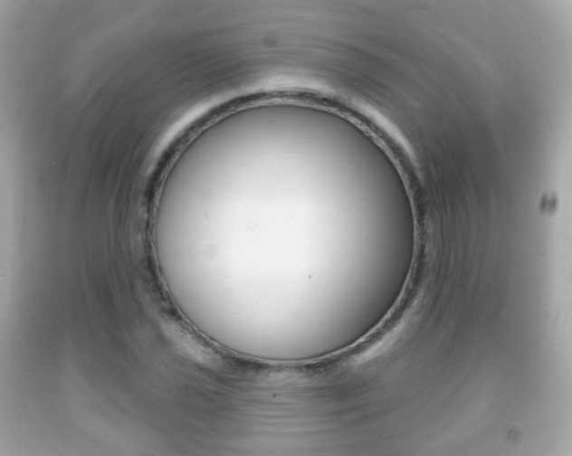 X0000091851021200709050931