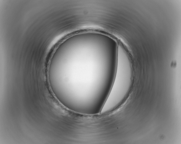 X0000091851022200709050931