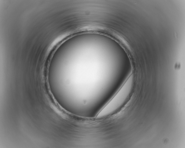 X0000091851026200709050931