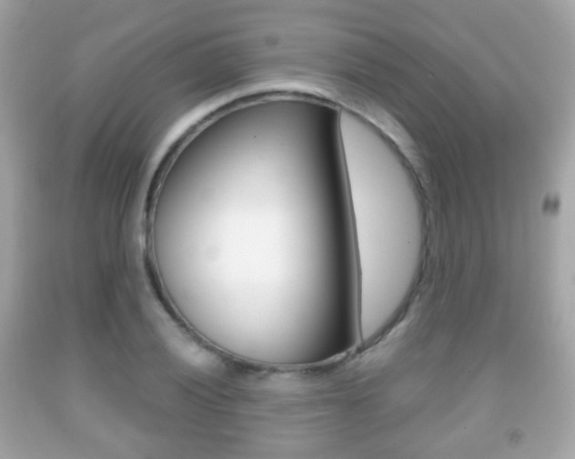 X0000091851028200709050931