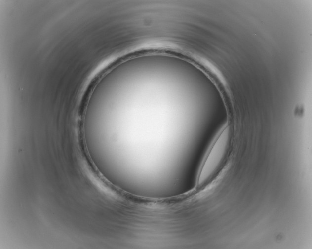 X0000091851029200709050931