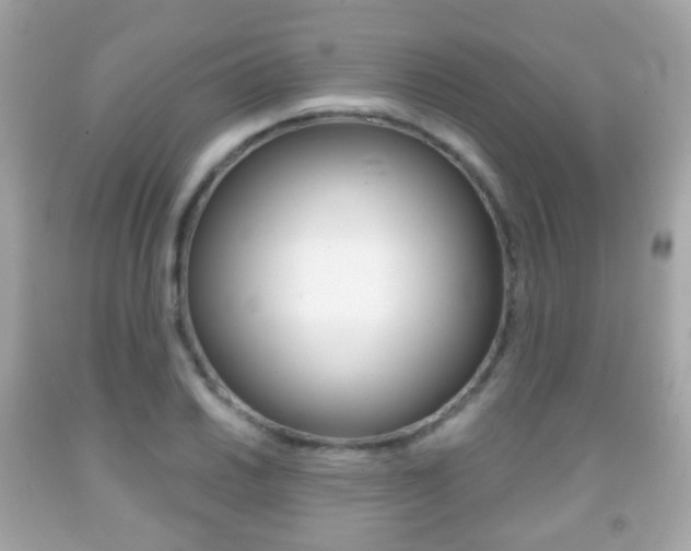 X0000091851030200709050931