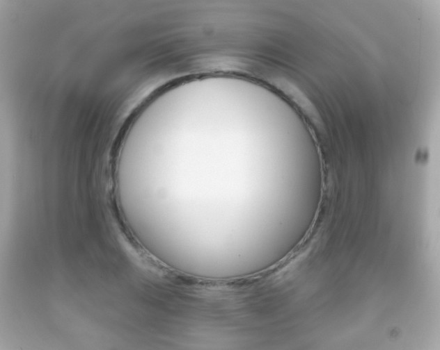 X0000091851031200709050931