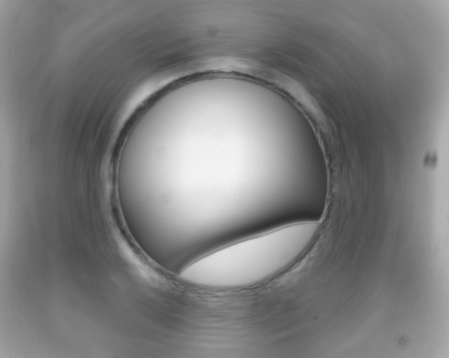 X0000091851032200709050931