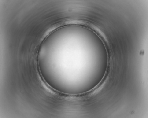 X0000091851033200709050931