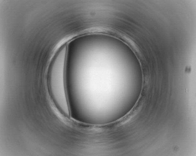 X0000091851034200709050931