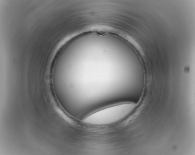 X0000091851037200709050931
