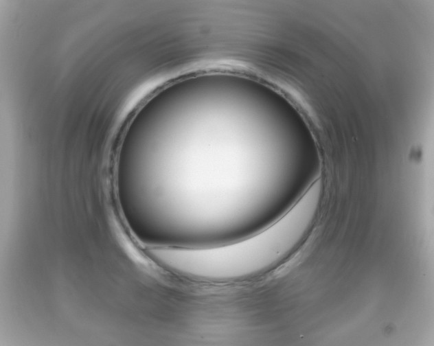 X0000091851038200709050931