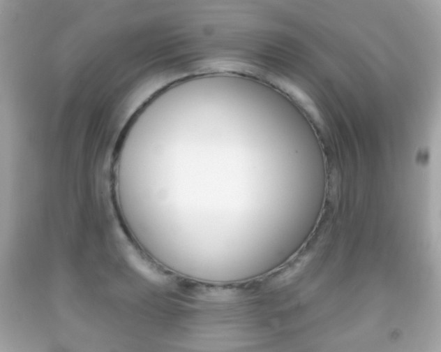 X0000091851039200709050931