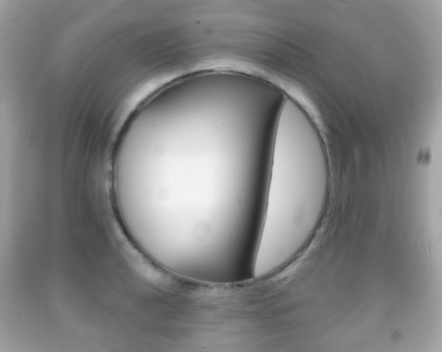 X0000091851040200709050931