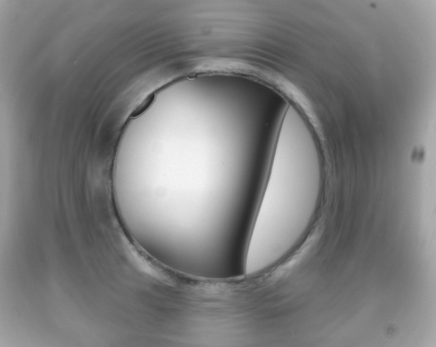 X0000091851041200709050931