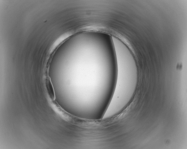 X0000091851042200709050931
