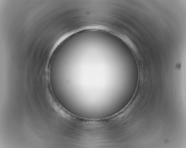X0000091851044200709050931