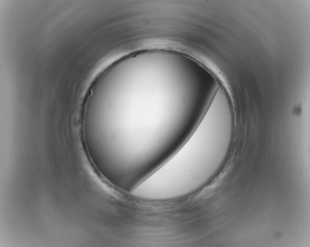 X0000091851045200709050931