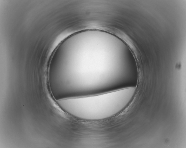 X0000091851048200709050931