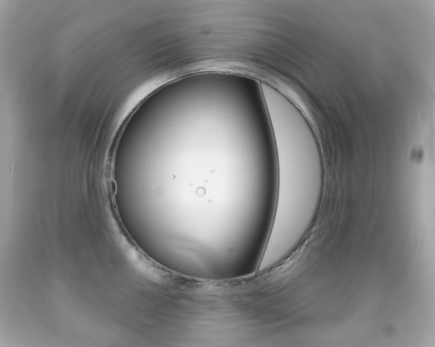 X0000091851050200709050931