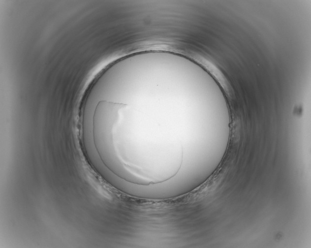X0000091851051200709050931