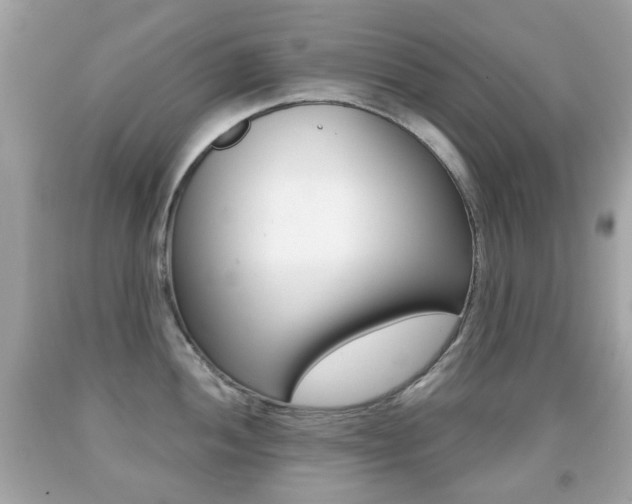 X0000091851052200709050931