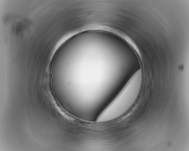 X0000091851053200709050931
