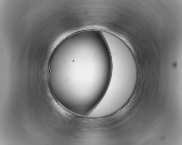 X0000091851054200709050931