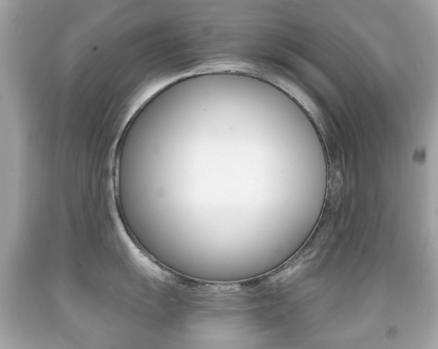 X0000091851055200709050931