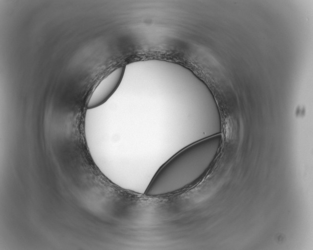 X0000091851059200709050931