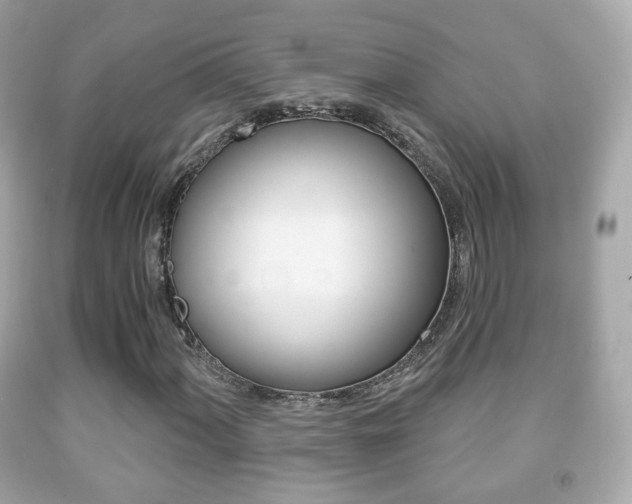 X0000091851060200709050931