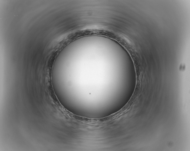 X0000091851062200709050931
