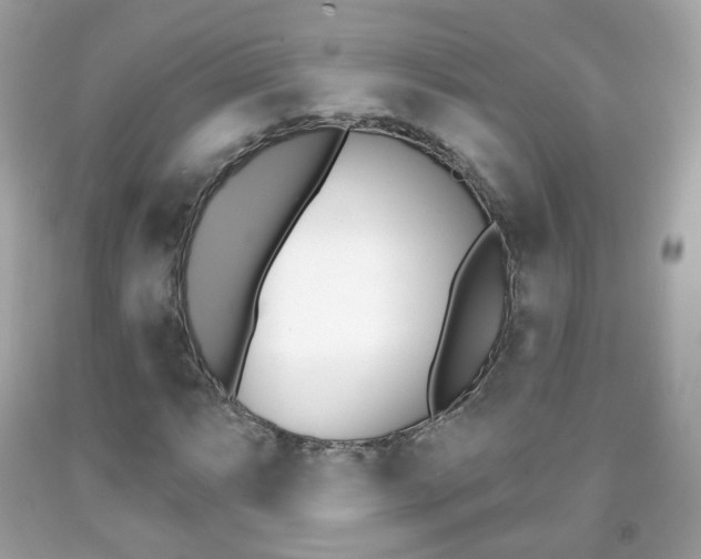X0000091851063200709050931