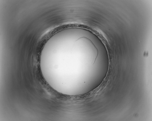 X0000091851064200709050931
