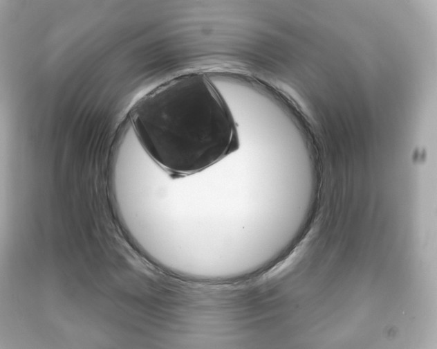 X0000091851065200709050931