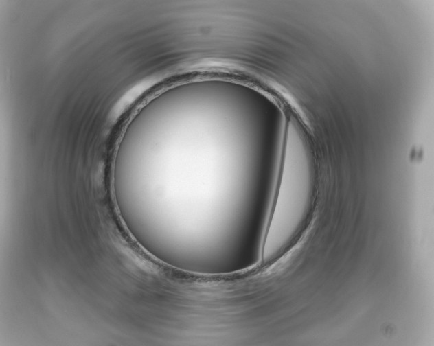 X0000091851066200709050931