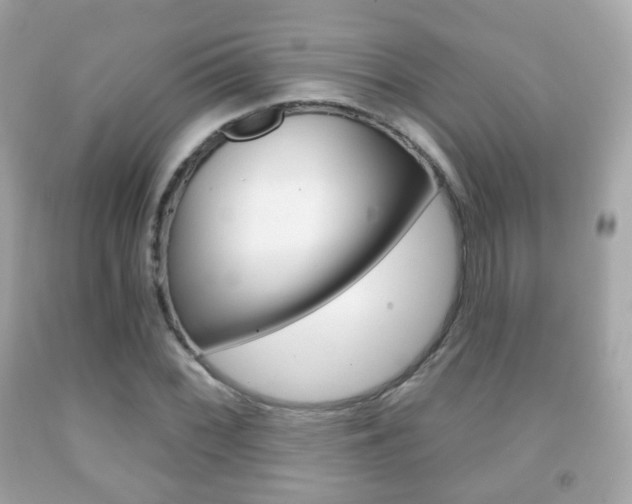 X0000091851068200709050930