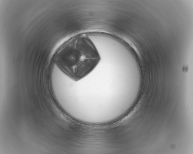 X0000091851069200709050930