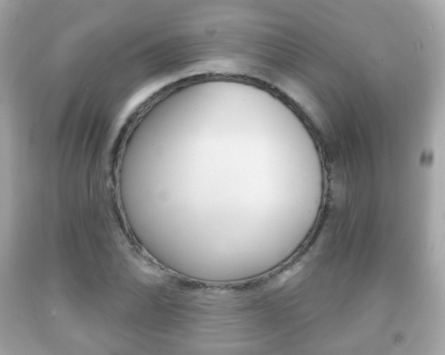 X0000091851070200709050930