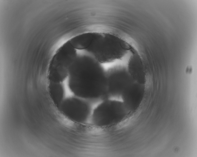 X0000091851071200709050930